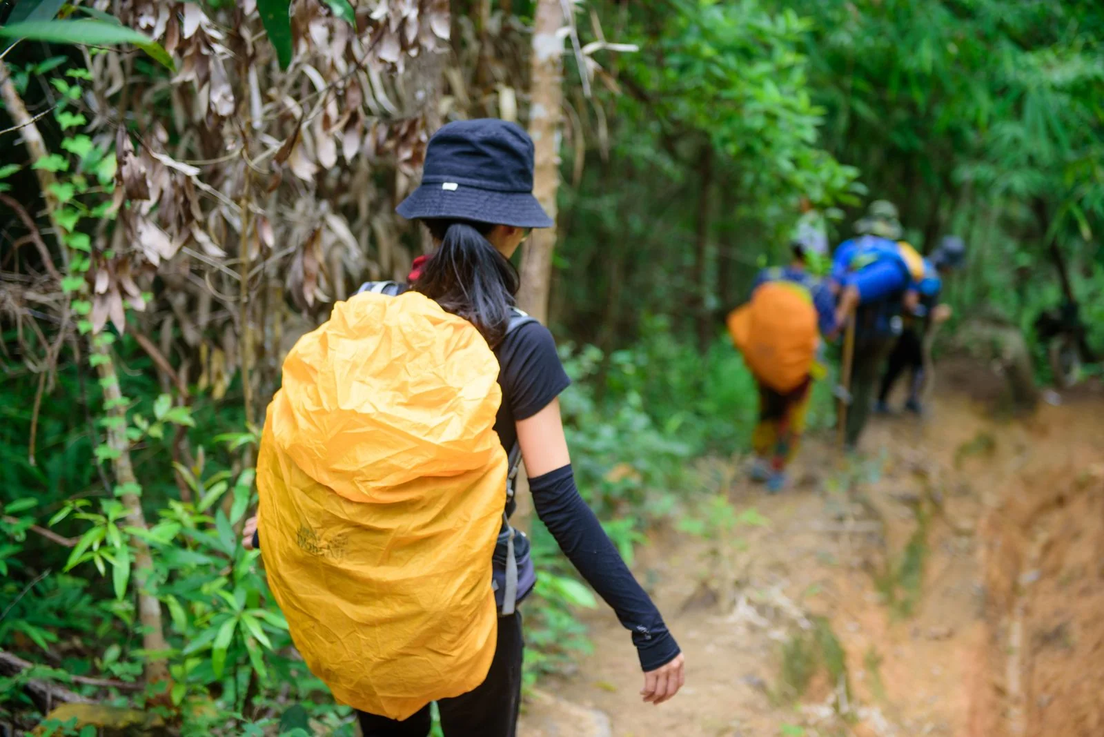 Young travellers carrying trekking backpacks journeying along an alpine valley trail